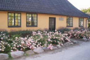  Dyrlev Bed & Breakfast  Пресё 